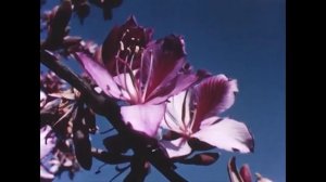 Nox Vahn & Marsh - Come Together (Matthias Meyer Remix)