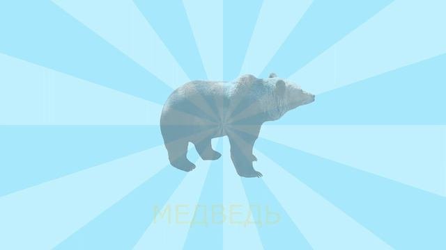 Угадай животное по тени  #дикиеживотные#тень