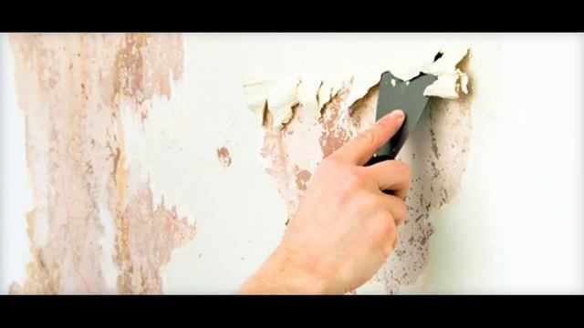 Как убрать плесень и грибок со стен: устраняем причины смотреть онлайн