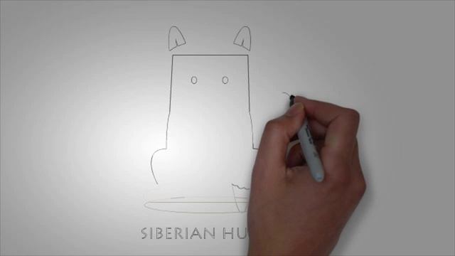 Рисунки собак карандашом. КАК легко НАРИСОВАТЬ СОБАКУ