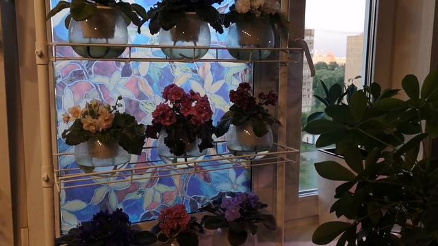 Плёнка на стекло для притенения ваших растений смотреть онлайн