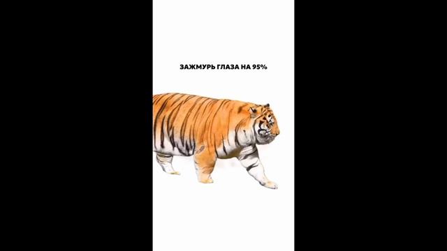 прикольно