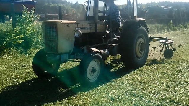 Przewracanie trawy//Ursus C-360//Z525 смотреть онлайн
