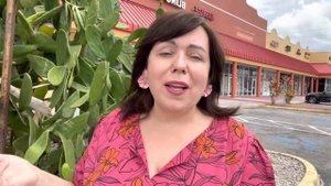 В КАКОМ ГОРОДЕ Я БУДУ ЖИТЬ #ленахэппи #ленахеппи #lenahappy