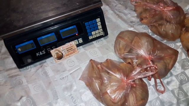 Мясо перепела купить. Мясо перепела продажа. Цена мяса перепела в Украине. Альбинос техасский.