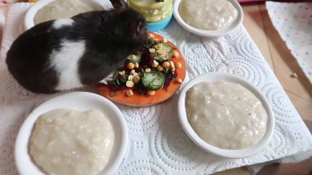 Пицца и торт для хомяков. День рождения. смотреть онлайн