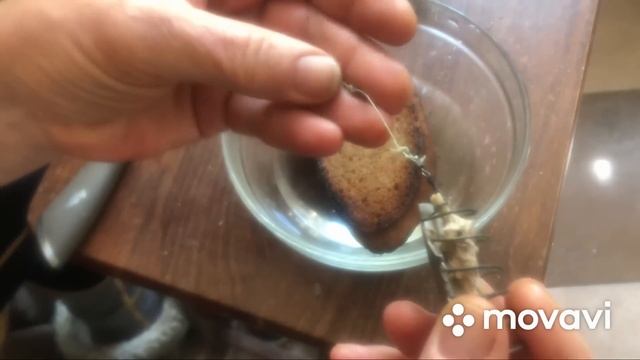 Копеечная насадка ловит карася, леща, карпа, толстолоба… Делаем сами!!! смотреть онлайн