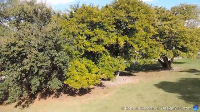 QAV400 V2 - Nikon P340 Camera Test 01 смотреть онлайн