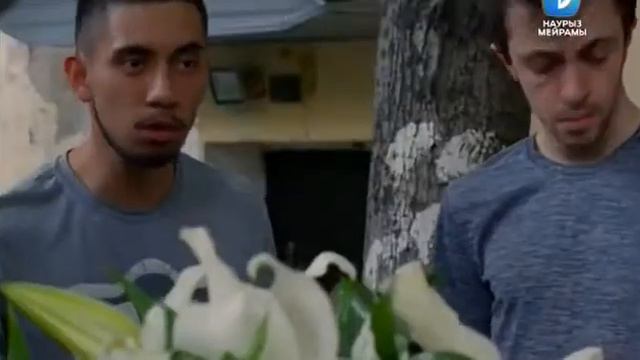 Прикол помог чем смог смотреть онлайн