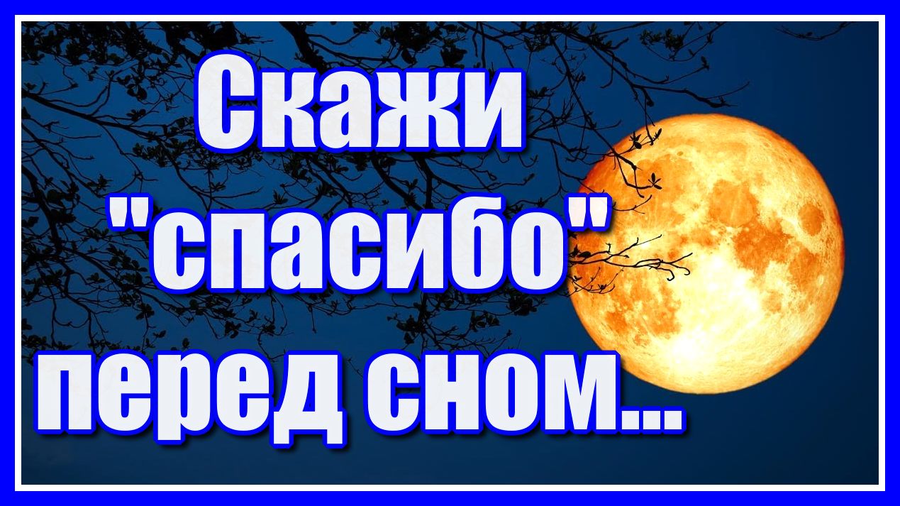 Скажи "спасибо" перед сном... Красивое стихотворение Зили Аиповой и нежная мелодия Сергея Чекалина!