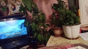 Крылатые качели.