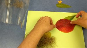 Осенняя поделка из листьев для школы - птичка с гнездом | Autumn leaf craft