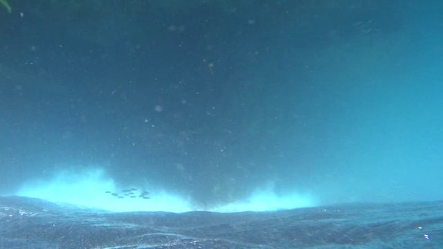 Необычное подводное видео