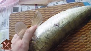 Как снять филе с рыбы | How to remove the fillets with a fish :) Готовим дома с Наташей Берет