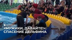 "Мужики, давайте!": спасение дельфина