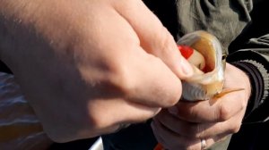 Рыбалка на Тавде в начале июля, часть 2 / Тюменская область / Лето 2019