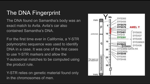 The Use of Y-STR in Forensics смотреть онлайн