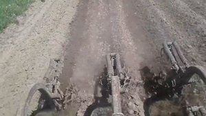 Культивация картофеля до всходов с помощью МТЗ-80 и культиватора крн-4.2