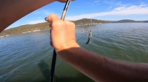 Finding The BIG ONES! MLF Toyota Championship Bass Fishing Tournament Practice!