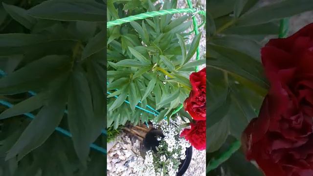 почему так назвали🤷♂️ смотреть онлайн