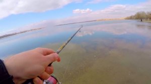 Язь Съедобную резину  Fanatik Boxer 3" Рыбалка на спиннинг весной. Джиг