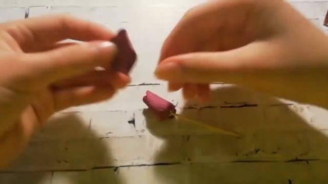 Розочка из фоамирана🌹/без молда/цветы из фоамирана/Handmade🌷