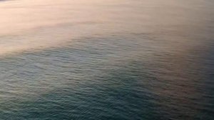 Дельфины. Целебные звуки и песни дельфинов / Dolphins. Healing sounds and songs of dolphins.