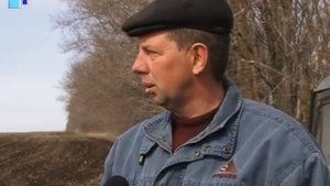 В Россошанском районе начался сев ранних зерновых культур.