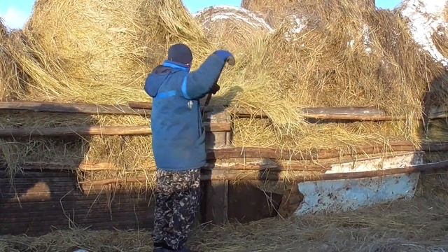 Бажениты получили деньги с Ютуба ,Гугл платит за рекламу смотреть онлайн