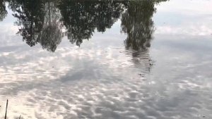 Рыбалка на озере в Анциферово