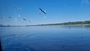 Где отдохнуть? Куда сходить в Перми? #Прогулка на теплоходе по р. #Кама. #2023 #like #love #travel