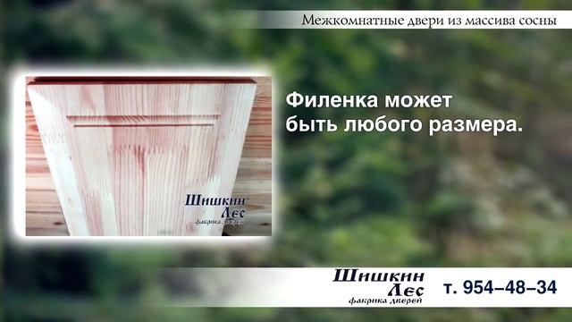 Двери межкомнатные из массива сосны! Недорогие и массивные! ВидеоОбзор!