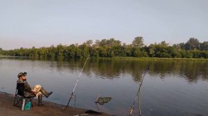рыбалка на закидушки ? / ЛОВЛЯ КРУПНОГО ЛЕЩА??? НА РЕКЕ БЕЛАЯ
