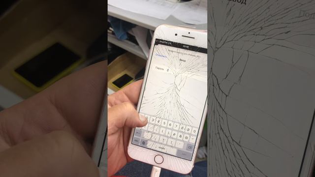 4 декабря 2023 г. смотреть онлайн