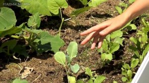 Совместные посадки. Вариант 1.