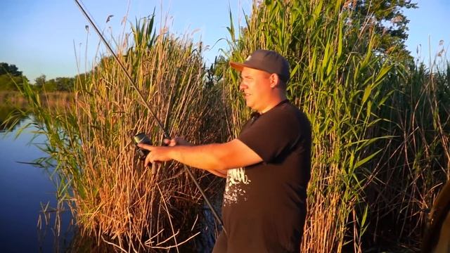 Ловля карпа летом 2020. Мощные поклевки рыбы.Водоем Каневской. смотреть онлайн