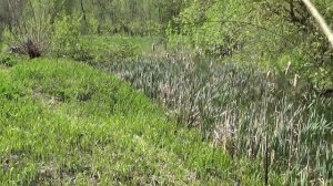 Рыбалка пауком и открытие купального сезона.