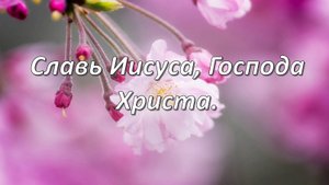 Славь Иисуса, Господа Христа