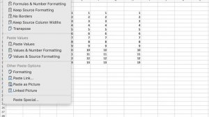 Excel Tips - Paste Special [Mac]