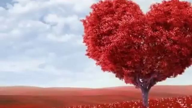 Самадхи в маршрутке. Опыт Насти после прохождения курса "Открытое сердце" смотреть онлайн