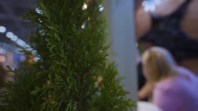 ПИР - Новосибирск, ЛВ Трейд, Karelia смотреть онлайн