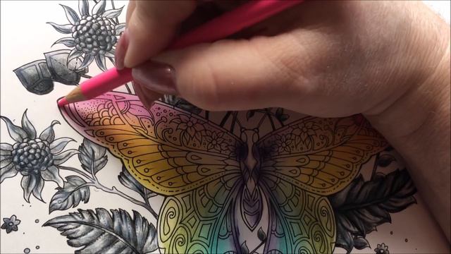 World of Flowers Butterfly page Part 2 смотреть онлайн