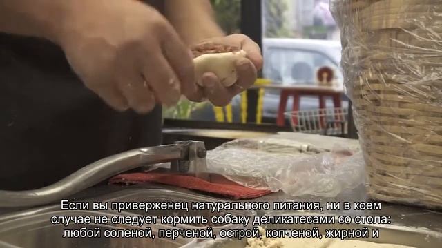 Сколько раз в день надо кормить собаку? смотреть онлайн