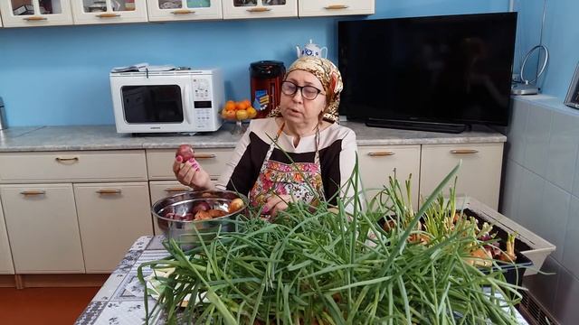 Лук на зелень на зимнем подоконнике