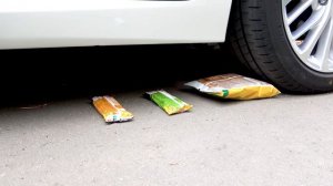 Лев устроил Эксперимент Раздавил хрустящие и мягкие вещи Машиной! Сквиши Чипсы и многое другое!