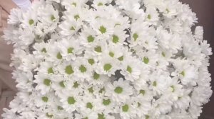 Большой букет ромашек