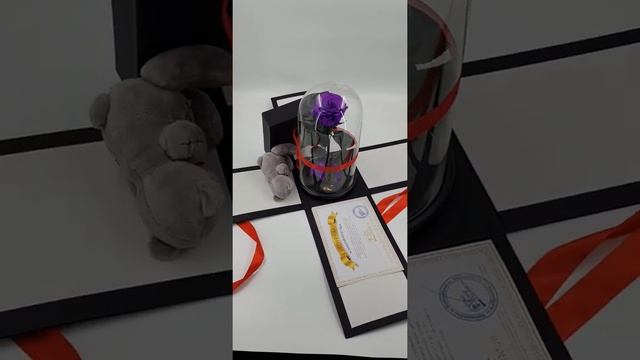 Подарочный комплект Роза в колбе Премиум в фиолетовом цвете от компании TheRoseDome.ru. смотреть онлайн