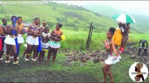 Kwa Zulu Tribe Ceremony Traditional Zulu African Dance