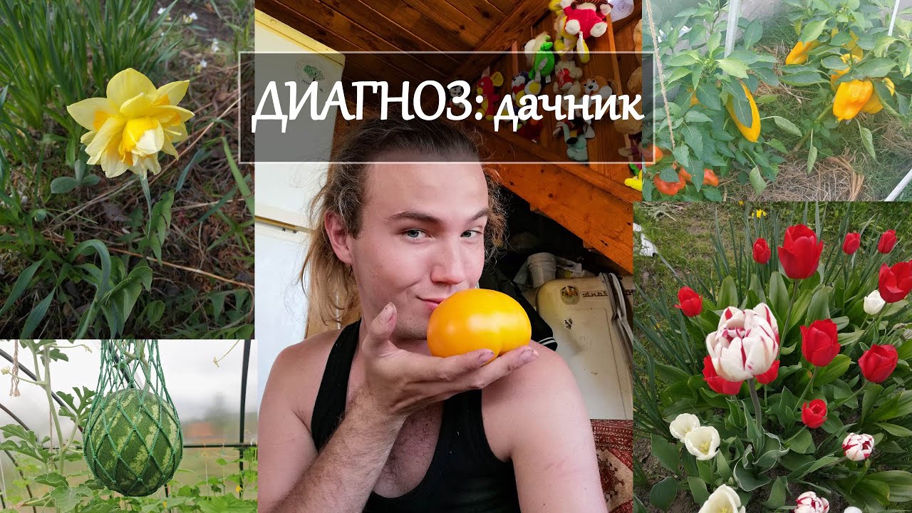 Диагноз_ дачник.mp4