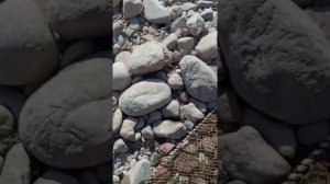 ловля маринки виды наживки на маринку.